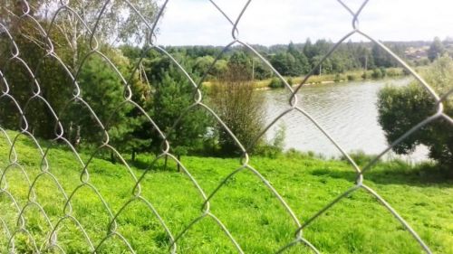Чи можуть орендарі заборонити доступ до водойми: на Тернопільщині нагадали про право громадян на берег