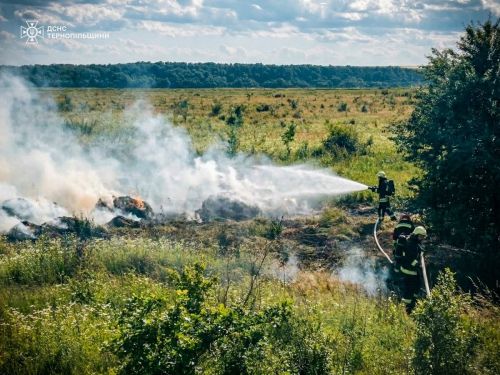 На Тернопільщині за добу сталося дві пожежі на відкритих територіях (фото)