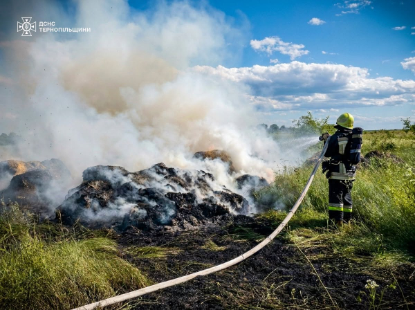 На Тернопільщині за добу сталося дві пожежі на відкритих територіях (фото)