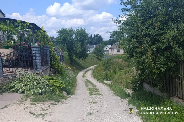 На Тернопільщині дві смертельні ДТП за добу: загинули 16-річна дівчина та 65-річний водій трактора (фото)