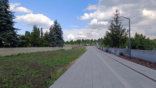 На Микулинецькій у Тернополі проведуть ексгумаційні роботи за бюджетні кошти