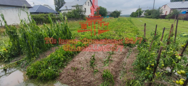 Град більший за куряче яйце: негода накрила Івано-Франківщину (фото, відео)