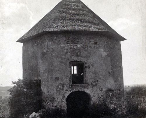 Замок у Висічці на Тернопільщині: у мережі опублікували архівне фото (фото)