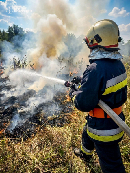 На Тернопільщині рятувальники врятували від вогню 113 гектарів пшениці (фото)