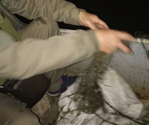 На Тернопільщині порушник сплатив майже 77 тисяч гривень за шкоду рибному господарству