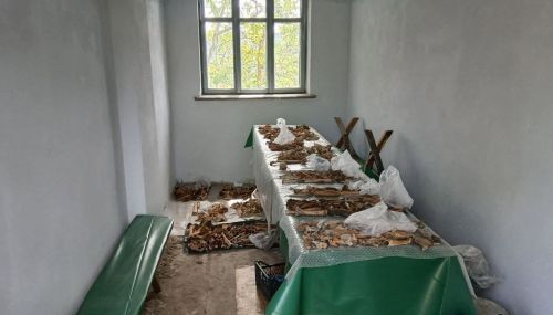 Вивчатимуть кістки людей і тварин: унікальне дослідження трипільської культури на Борщівщині (ФОТО)