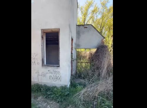 Американський благодійник планує відновити стадіон на Тернопільщині (фото, відео)