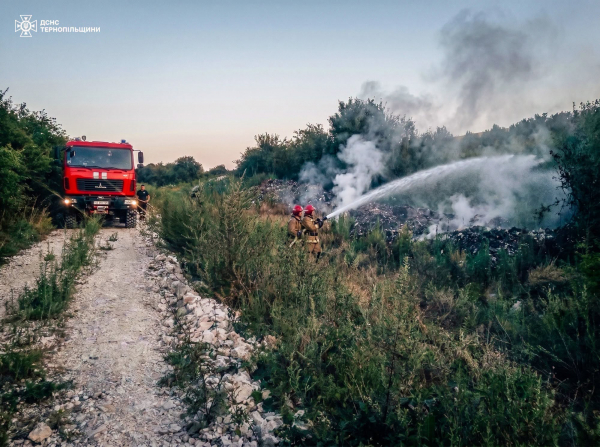 На Тернопільщині горіли господарська будівля, автомобіль і сміття (фото)