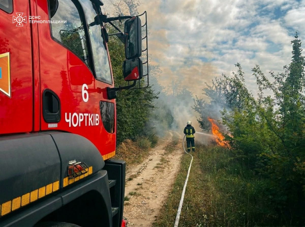 На Тернопільщині горіли поля, будівлі та трансформаторна підстанція (фото)