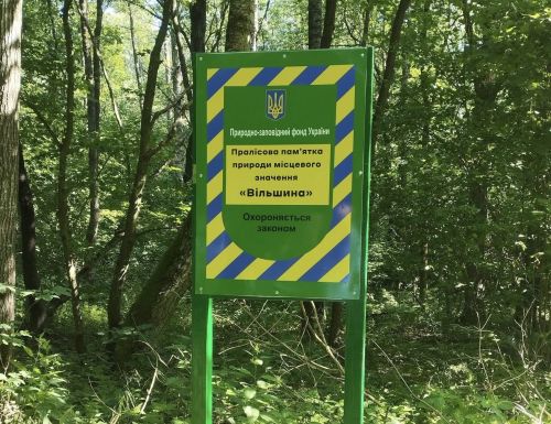 Нову пралісову памʼятку природи оголосили на Кременеччині