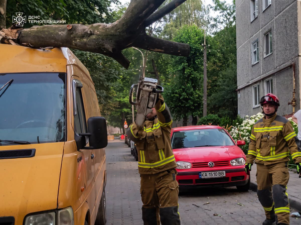 Пожежа охопила сміття та гаражі у Тернополі (ФОТО)