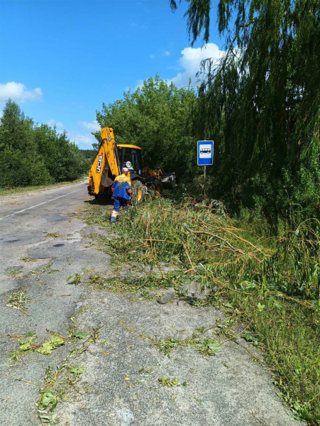 На дорогах Тернопільщини ліквідовують ями та наслідки негоди: які роботи тривають (фото)