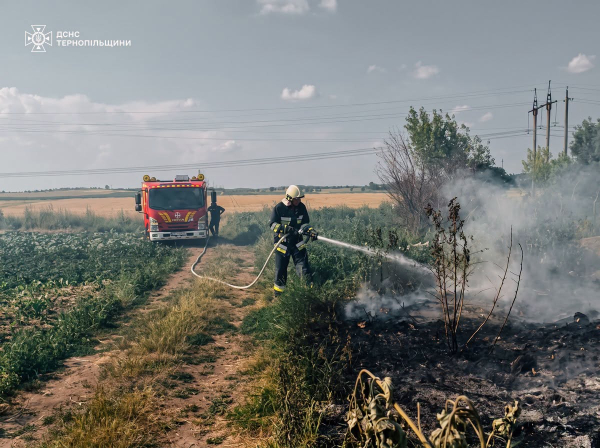 Пожежа охопила сміття та гаражі у Тернополі (ФОТО)