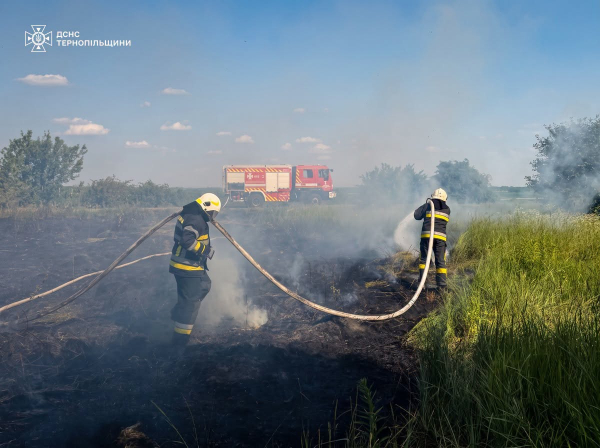 Пожежа охопила сміття та гаражі у Тернополі (ФОТО)