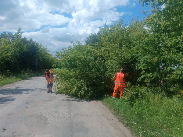 На дорогах Тернопільщини ліквідовують ями та наслідки негоди: які роботи тривають (фото)