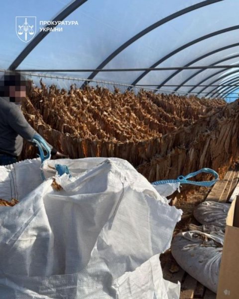 На Чортківщині викрили підпільне виробництво тютюну: вилучили понад 3,3 тонни сировини (фото)