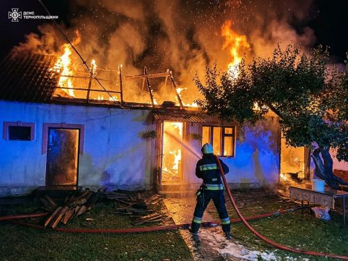 На Тернопільщині горіли господарська будівля, автомобіль і сміття (фото)