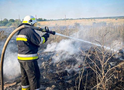 На Тернопільщині за добу сталося вісім пожеж: найбільше – в екосистемах (фото)