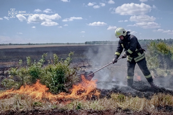 На Тернопільщині сталася масштабна пожежа житлового будинку (фото)