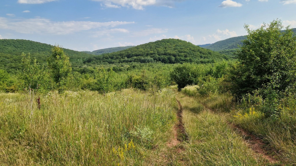 Експедиція у «Дністровському каньйоні» на Тернопільщині принесла нові знахідки (фото)