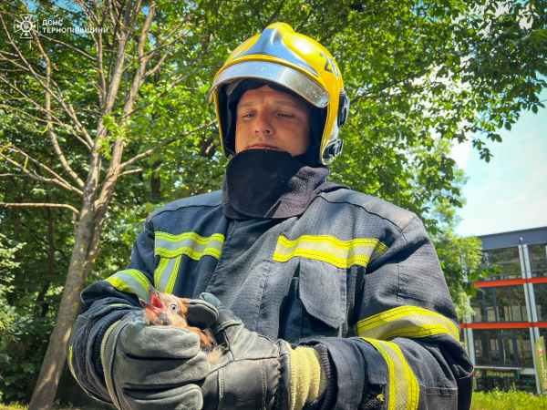 Порятунок на висоті: у Тернополі звільнили птаха, що заплутався в нитках (фото)