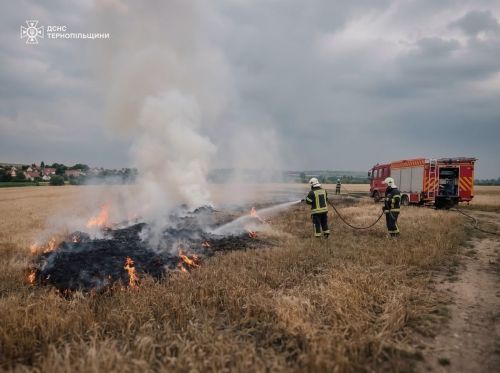 Удар блискавки спричинив займання поля з пшеницею у Микулинецькій громаді (фото)