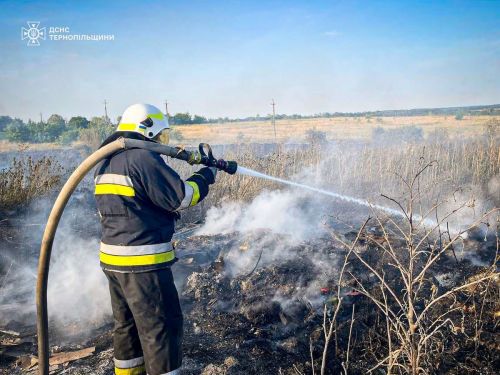 Другу добу гасять пожежу на сміттєзвалищі у Підволочиську: площу тління скоротили до 500 кв. м (відео)
