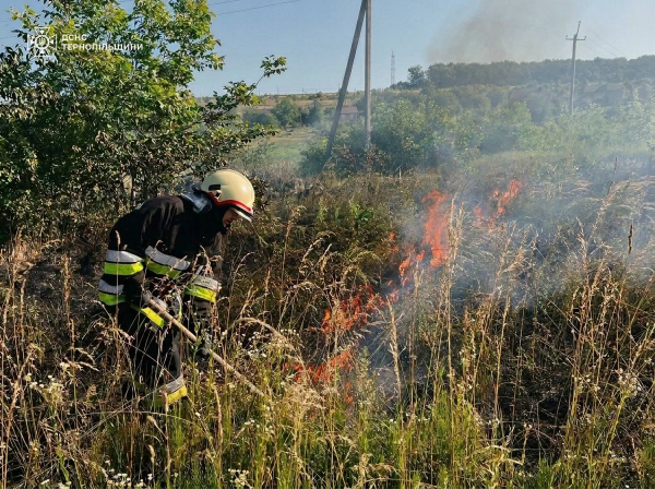 На Тернопільщині горіли поля, будівлі та трансформаторна підстанція (фото)