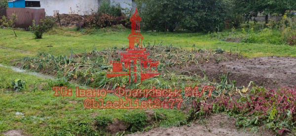 Град більший за куряче яйце: негода накрила Івано-Франківщину (фото, відео)
