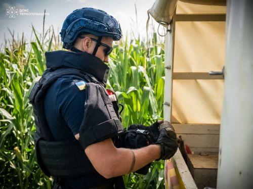 Відлуння Другої світової: на Зборівщині рятувальники вилучили артилерійський снаряд (фото)