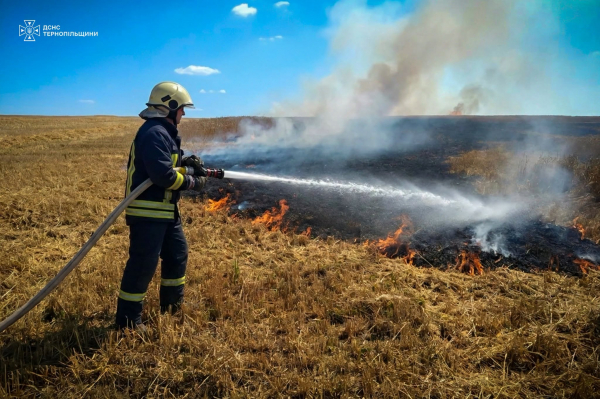 На Тернопільщині рятувальники врятували від вогню 113 гектарів пшениці (фото)