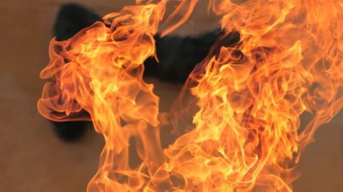 На Тернопільщині під час пожежі у будинку загинула 74-річна жінка (фото)