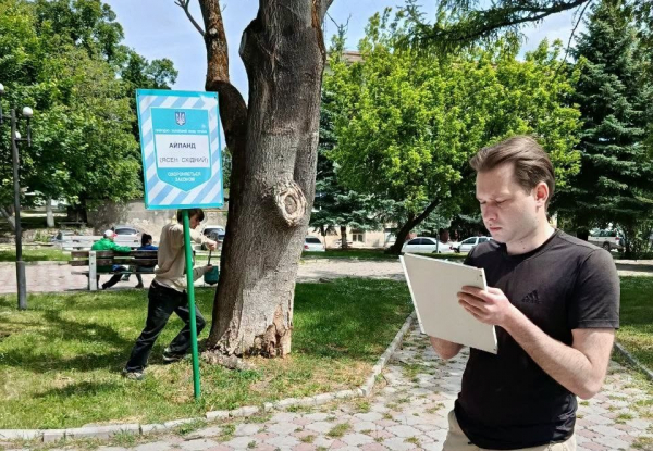 У Чорткові ботанічна пам’ятка природи місцевого значення "Айлант Антона Горбачевського" перебуває в аварійному стані (фото)