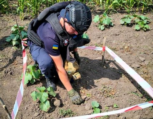 Гранату часів Другої світової війни знайшли на присадибній ділянці у Зборівській громаді (фото)