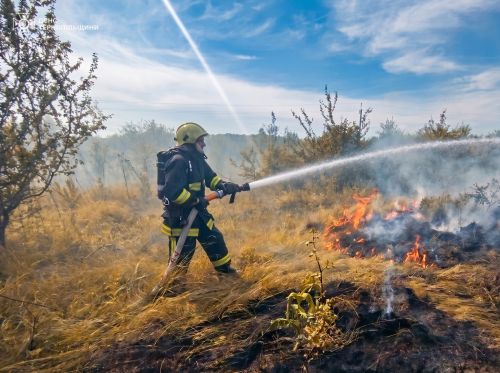 Полум’я охопило суху траву на Чортківщині