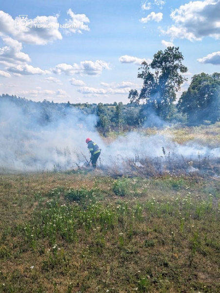 На Тернопільщині за добу сталося вісім пожеж: найбільше – в екосистемах (фото)
