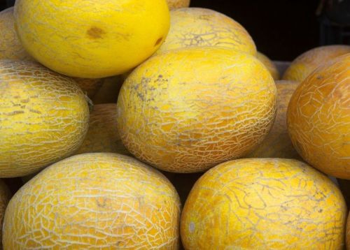 Через перевищення нітратів у Тернополі не допустили до продажу 500 кілограмів динь