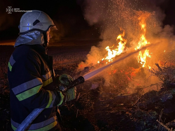 Вогонь охопив суху траву та пожнивні залишки: на Тернопільщині 10 пожеж за добу (фото)