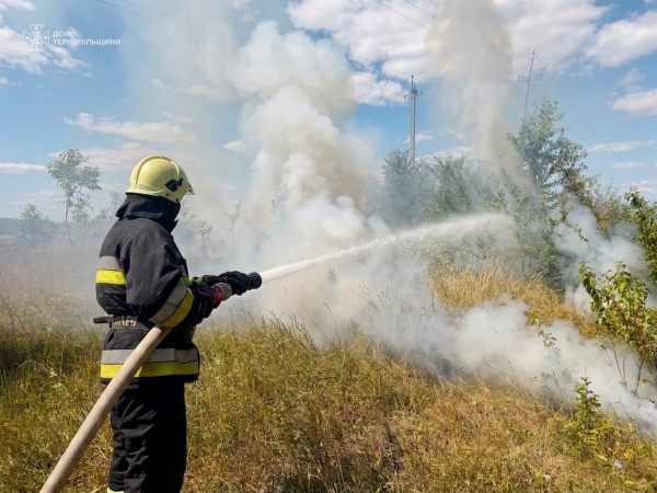 Вогонь охопив суху траву та пожнивні залишки: на Тернопільщині 10 пожеж за добу (фото)