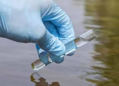 У водоймі загинула риба: можливе забруднення води в Тернополі