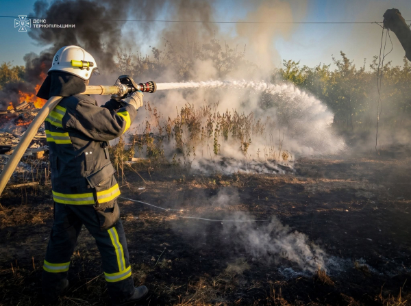 Масштабна пожежа у Колодіївці: вдалося врятувати ліс (ФОТО)