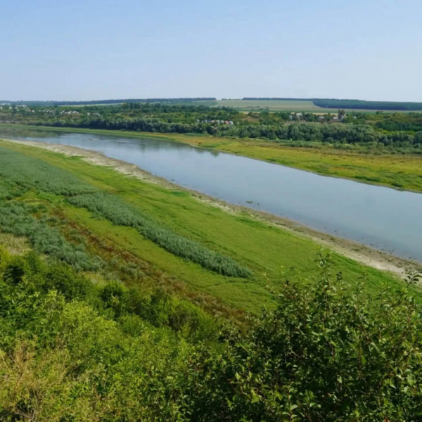 Рівень води в Дністрі впав до найнижчої позначки за всю історію спостережень (фото)
