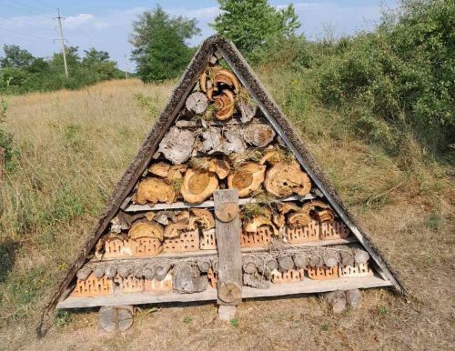 Хатинки для комах відремонтували у природному парку на Тернопільщині