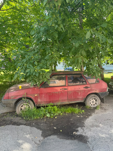 У Тернополі виявили два занедбані автомобілі: власників просять зголоситися (фото)