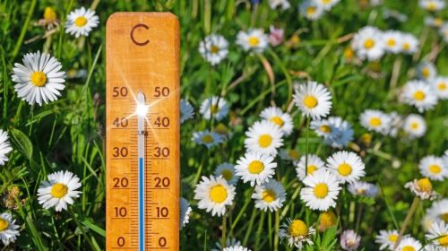 Тернопільщину накриє нова хвиля тепла: найближчими днями від +20° до +34°
