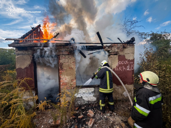 Пожежа охопила дачі у Тернополі: деталі (ФОТО)