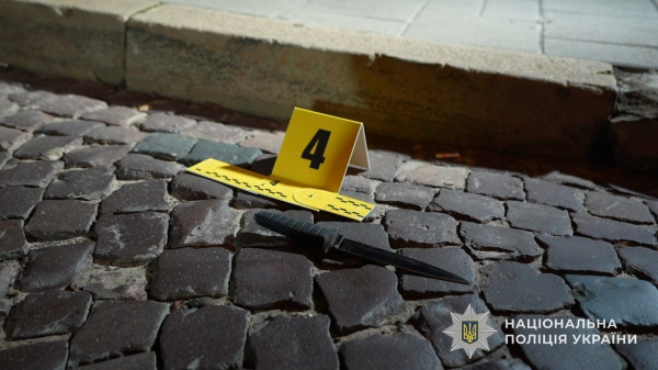 Загрожує довічне: у Львові оголосили підозру чоловіку, який убив військового ТЦК (фото, відео)