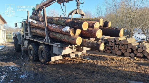 На Тернопільщині припинено діяльність організованої групи з незаконної порубки дерев у заповіднику «Медобори» (фото)