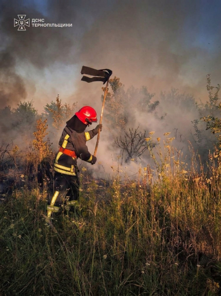 5 гектарів сухої трави спалили жителі Тернопільщини за минулу добу (фото)