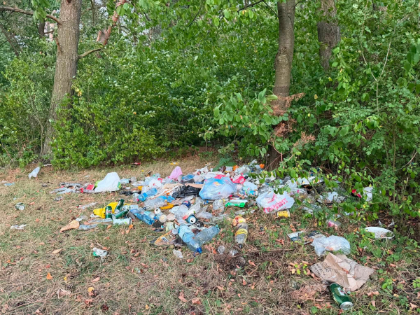 Знову сміття після відпочинку: на Борщівщині берег озера перетворили на звалище (фото)
